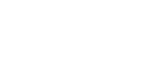 Logo da Nexus